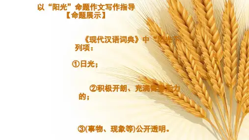 以“阳光”为话题 ,作文指导ppt