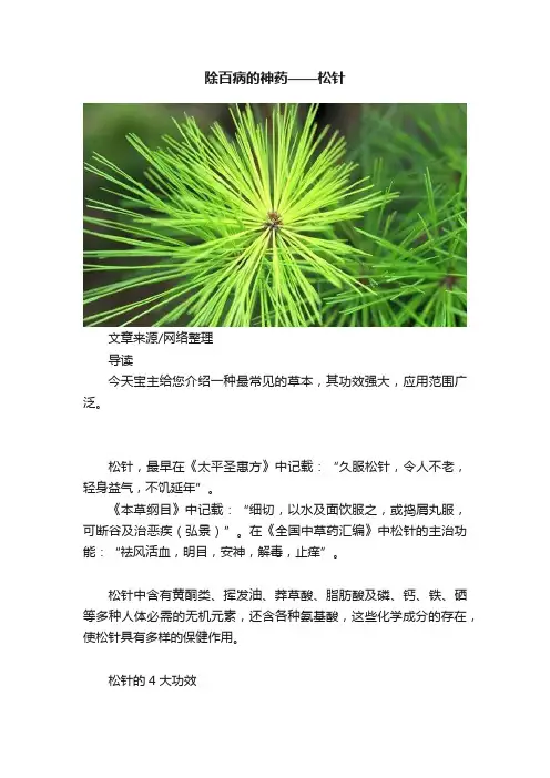 除百病的神药——松针