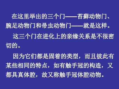 苔藓动物门