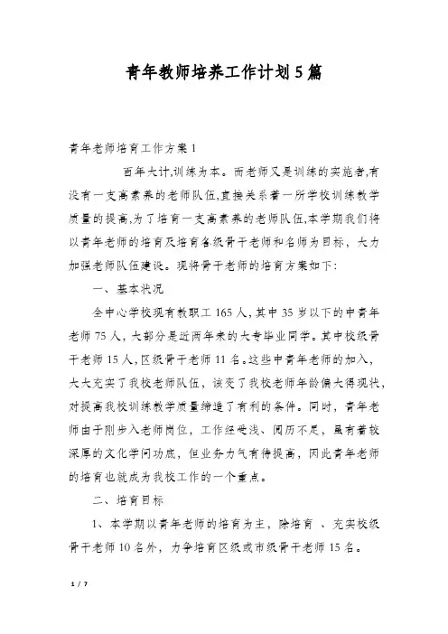 青年教师培养工作计划5篇