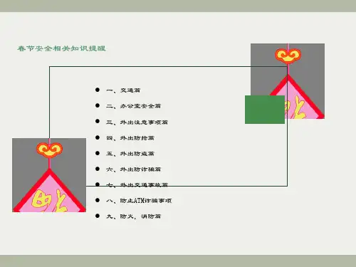 春节安全教育PPT