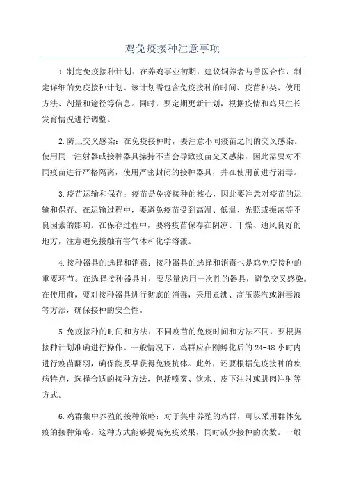 鸡免疫接种注意事项