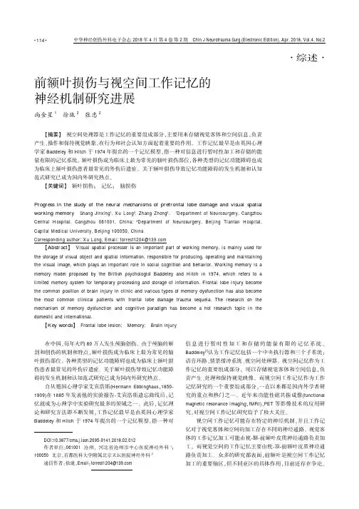 前额叶损伤与视空间工作记忆的神经机制研究进展