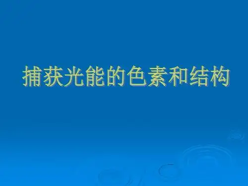 人教版教学课件云南省弥勒县庆来中学2011-2012学年高一生物捕获光能的色素和结构课件课件