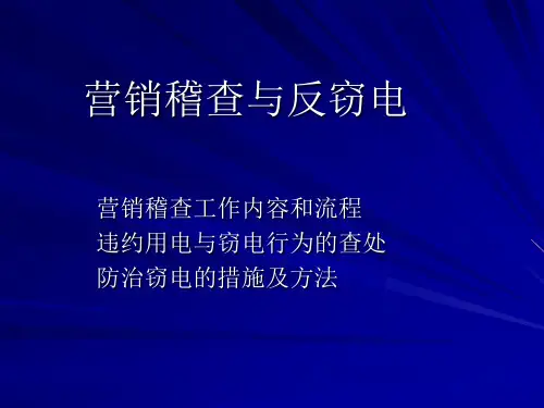 防窃电技术PPT课件