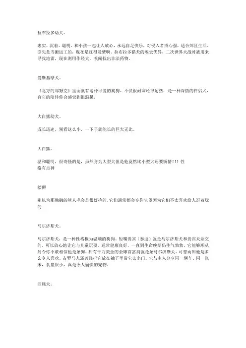 各品种狗狗介绍