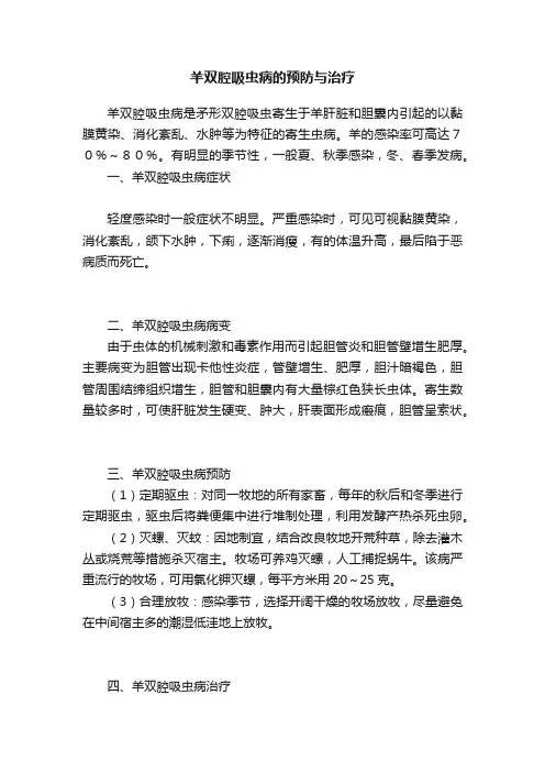 羊双腔吸虫病的预防与治疗