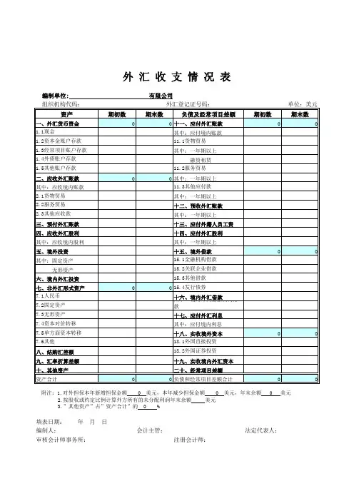 外汇收支情况表模板