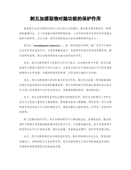 刺五加提取物对脑功能的保护作用