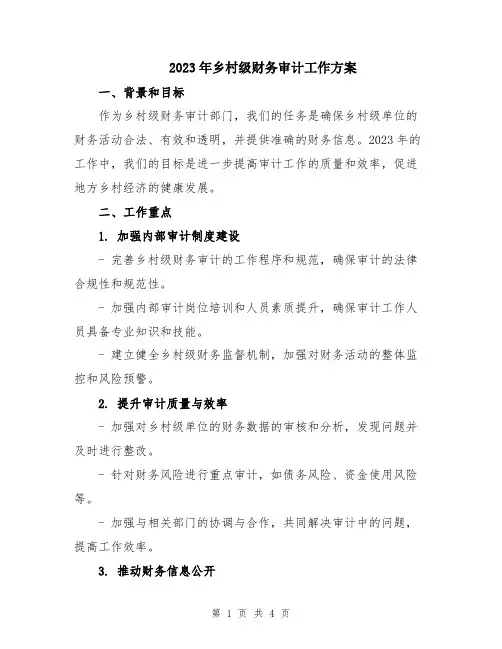 2023年乡村级财务审计工作方案