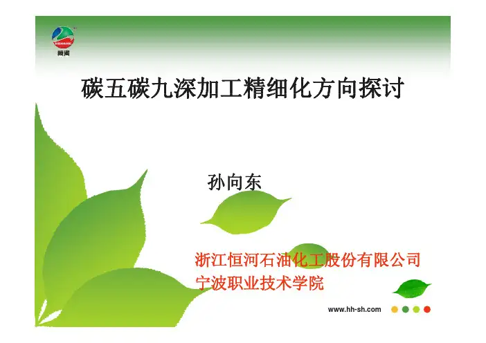 15.碳五碳九深加工精细化方向探讨-恒河