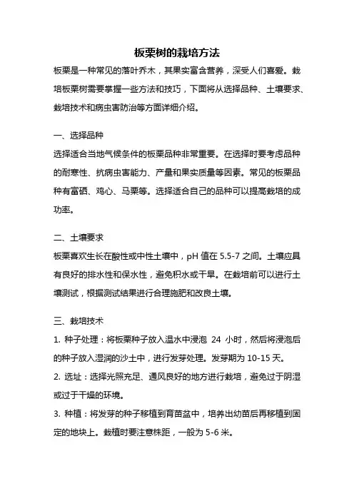 板栗树的栽培方法
