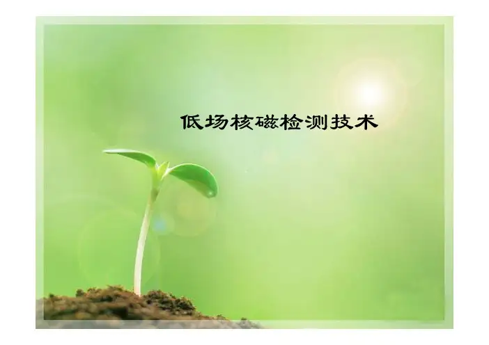 低场核磁共振检测技术