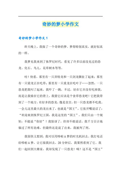 奇妙的梦小学作文