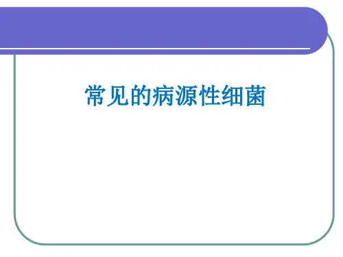 常见病源性细菌PPT课件