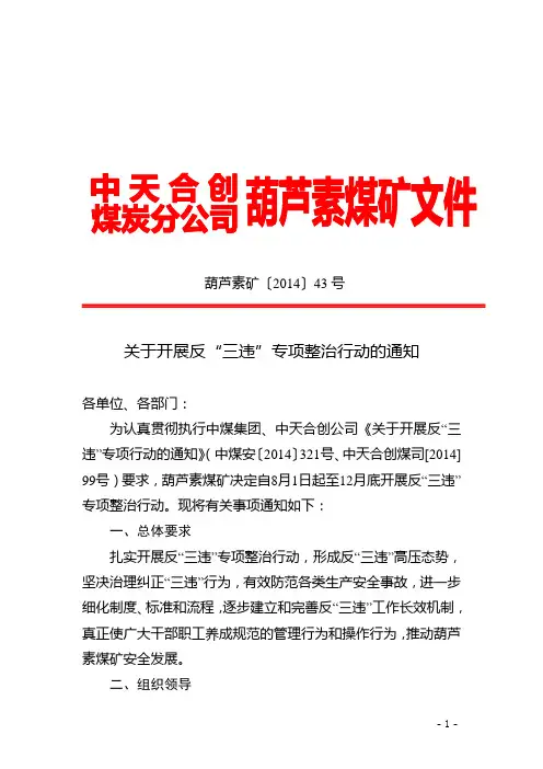 葫芦素矿43号-关于开展反三违专项整治行动的通知