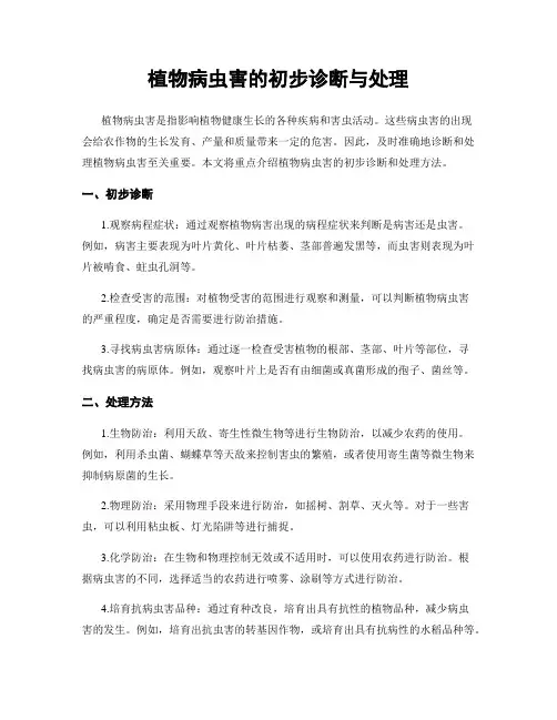 植物病虫害的初步诊断与处理