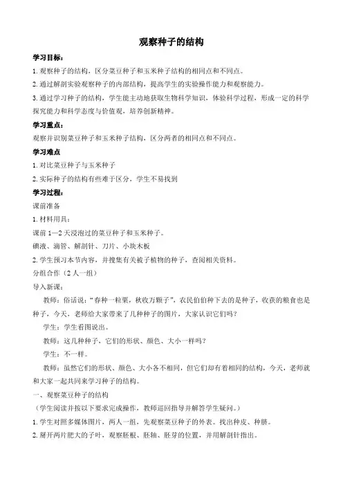 观察种子的结构教学设计