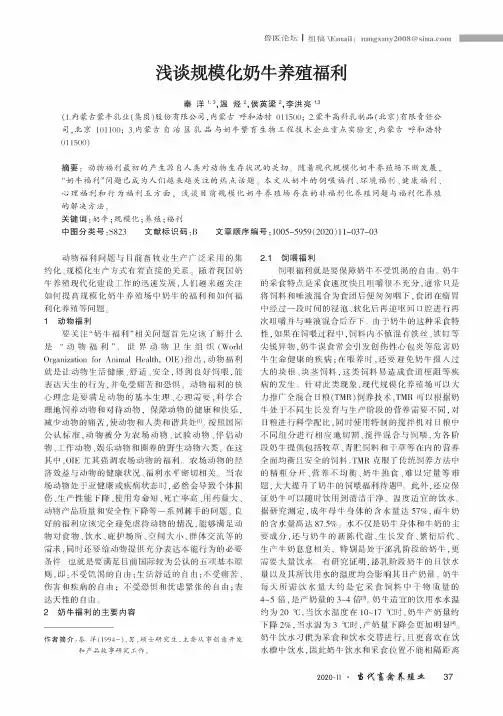 浅谈规模化奶牛养殖福利