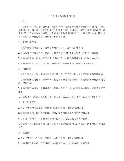 社会组织机构年度工作计划