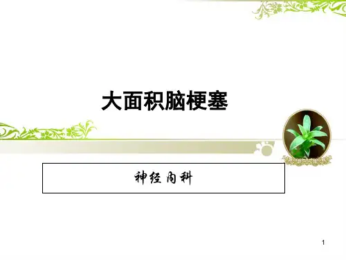 大面积脑梗死护理查房PPT课件