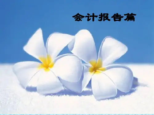 《会计学》(赵雪媛,刘桔主编)第9章财务会计报告