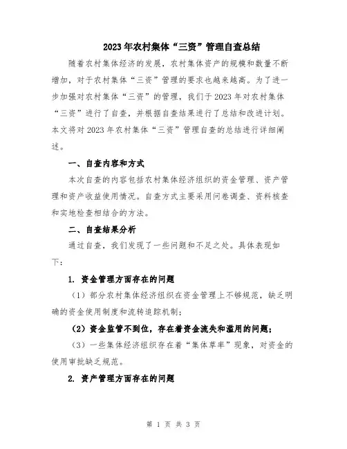 2023年农村集体“三资”管理自查总结