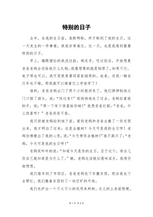特别的日子_五年级作文