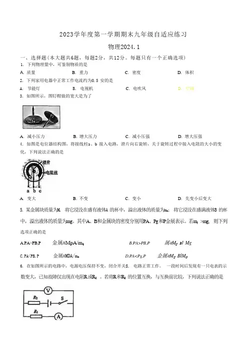 2023-2024学年上海市普陀区九年级上学期中考一模物理试卷含答案 