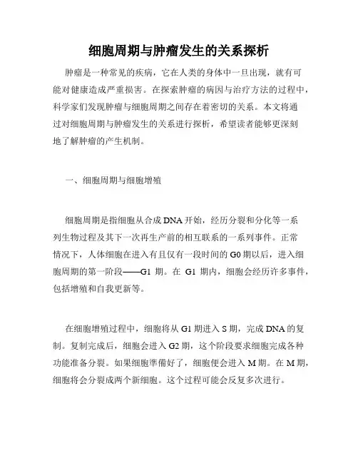 细胞周期与肿瘤发生的关系探析