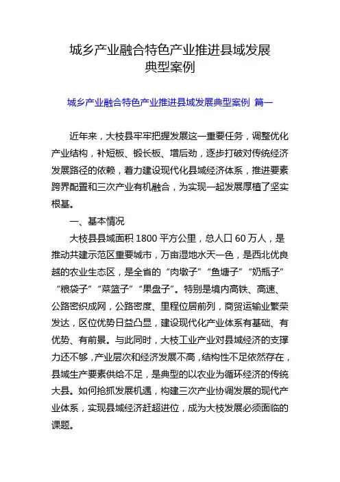 城乡产业融合特色产业推进县域发展典型案例5篇