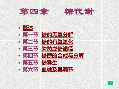 糖代谢 第四章