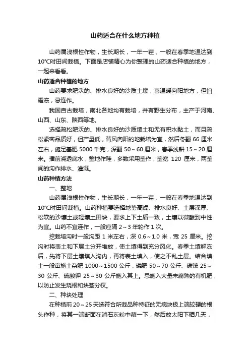 山药适合在什么地方种植