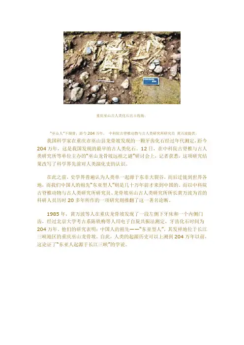 重庆巫山古人类化石出土现场