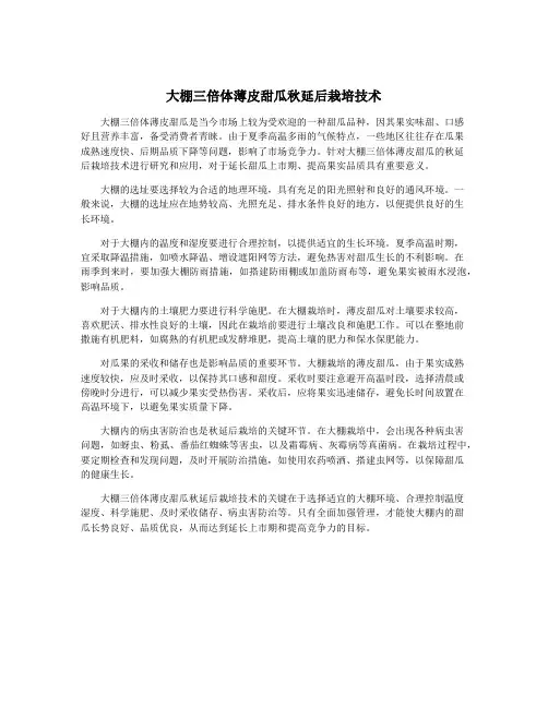 大棚三倍体薄皮甜瓜秋延后栽培技术
