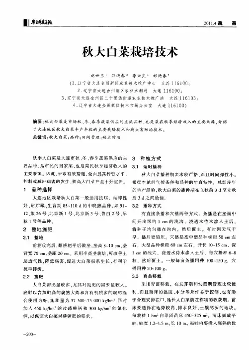 秋大白菜栽培技术