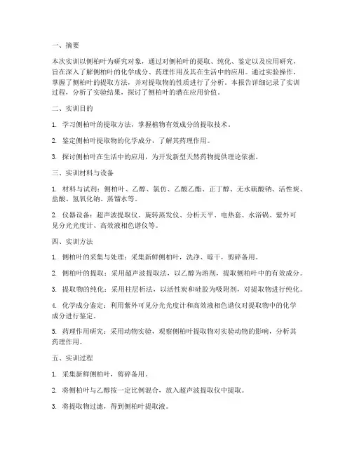 关于侧柏叶的实训报告
