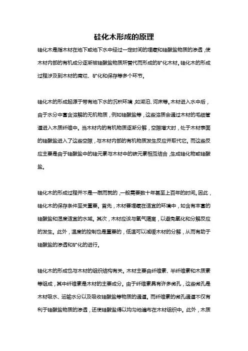 硅化木形成的原理