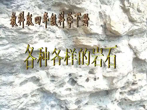 四年级科学下册 各种各样的岩石 1课件 教科版优质课件