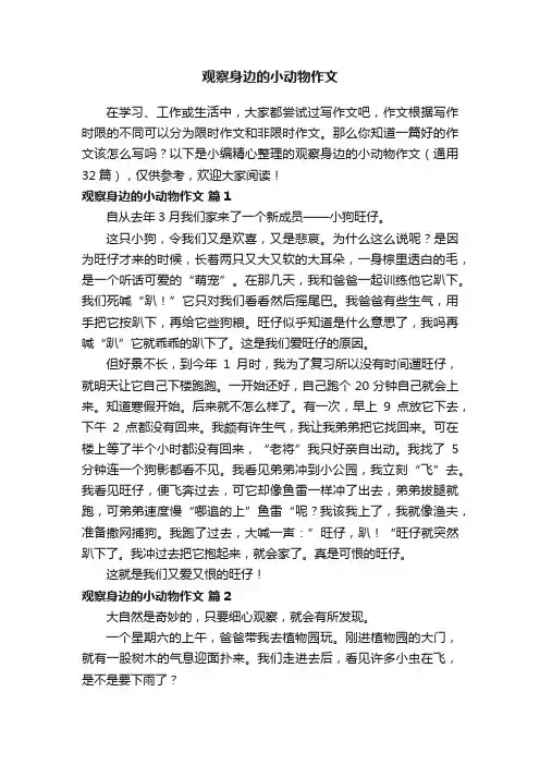 观察身边的小动物作文（通用32篇）