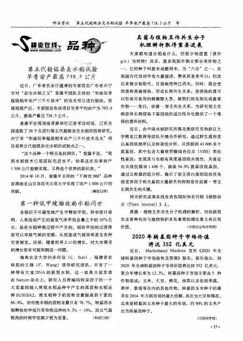 第五代超级杂交水稻试验 早季亩产最高738.5公斤
