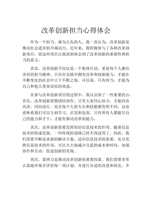 改革创新担当心得体会