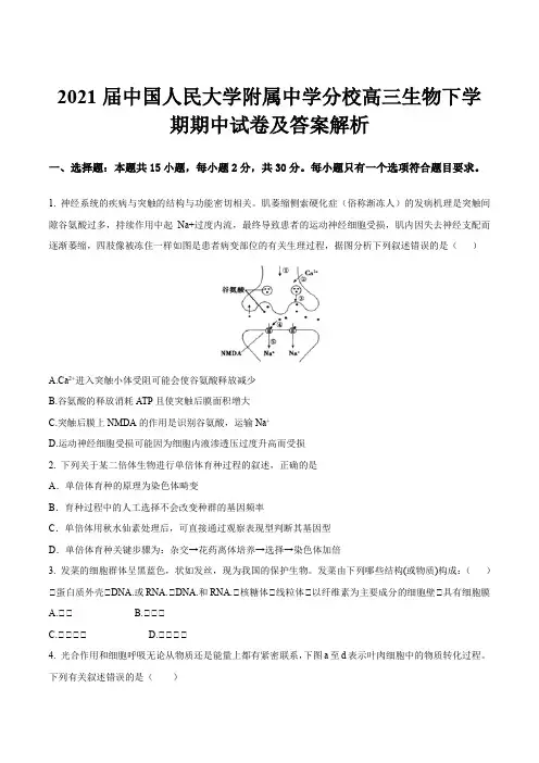 2021届中国人民大学附属中学分校高三生物下学期期中试卷及答案解析