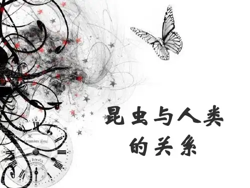 《昆虫与人类的关系》课件2