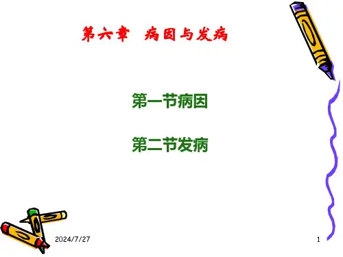 最新：中医基础理论病因和发病-文档资料
