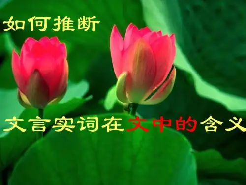 文言实词推断法