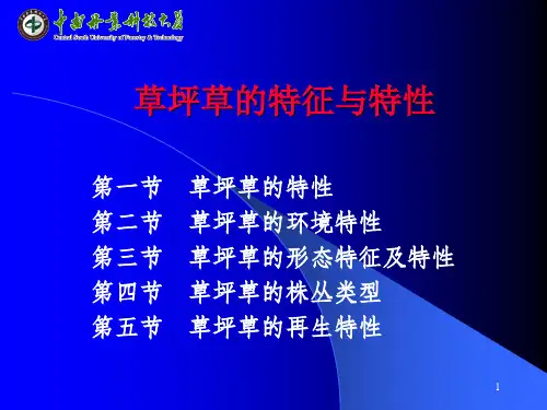 草坪草的特征与特性(课堂PPT)