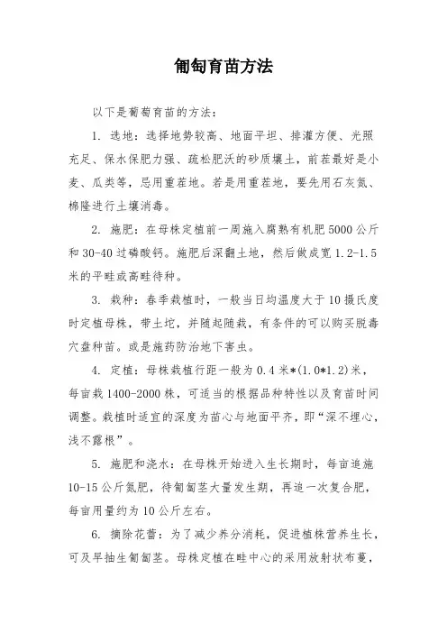 匍陶育苗方法