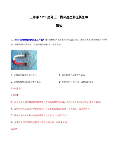 2020年上海市高三一模专题汇编—08 磁场—真题+参考答案+评分标准