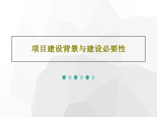 项目建设背景与建设必要性21页PPT